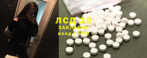 спиды Новодвинск