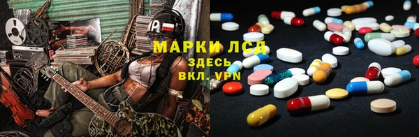 spice Аркадак